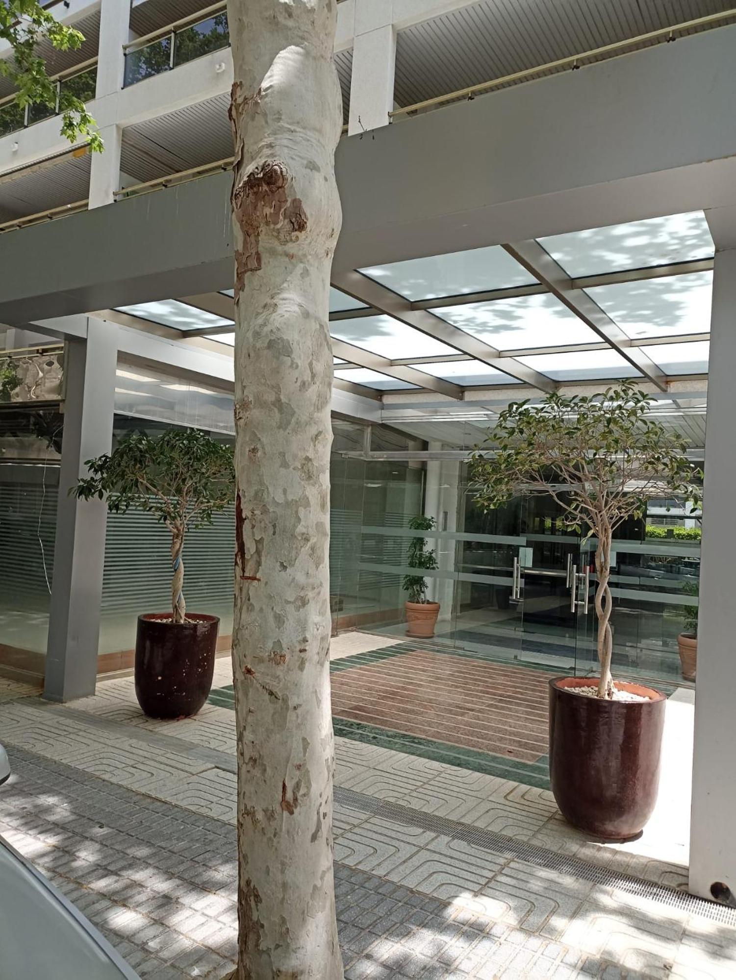Michelangelo Apartamento Salou Exterior foto